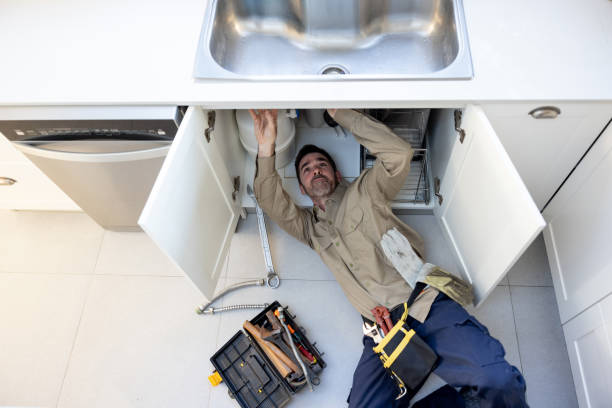 Best Local Plumber Services  in Portland, IN